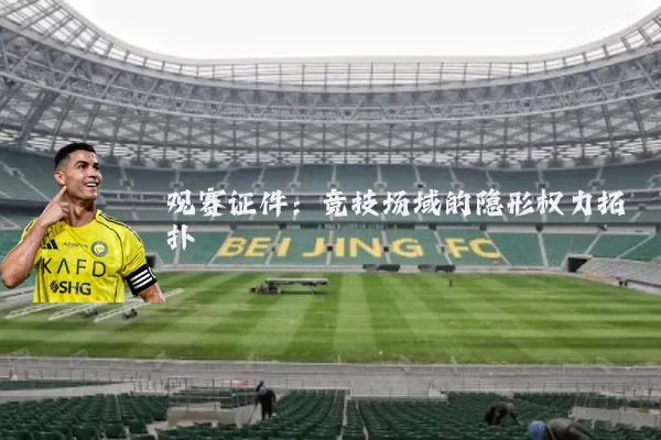 观赛证件:竞技场域的隐形权力拓扑