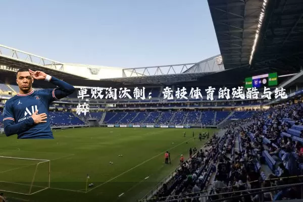 单败淘汰制:竞技体育的残酷与纯粹